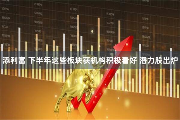 添利富 下半年这些板块获机构积极看好 潜力股出炉