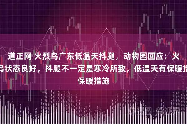 道正网 火烈鸟广东低温天抖腿，动物园回应：火烈鸟状态良好，抖腿不一定是寒冷所致，低温天有保暖措施