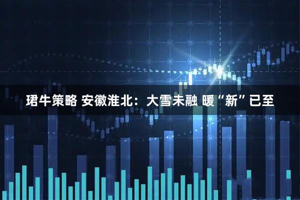 珺牛策略 安徽淮北：大雪未融 暖“新”已至