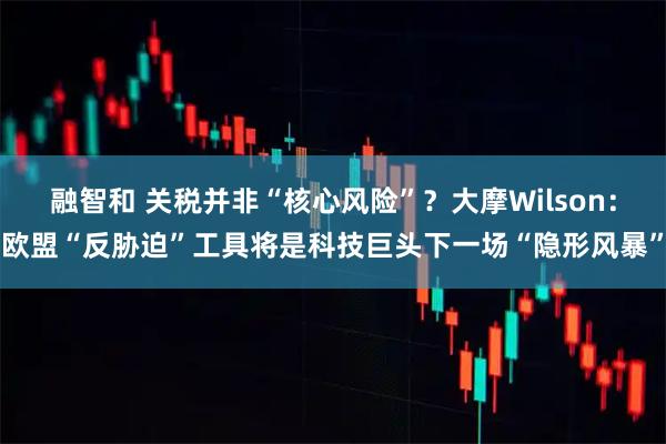 融智和 关税并非“核心风险”？大摩Wilson：欧盟“反胁迫”工具将是科技巨头下一场“隐形风暴”