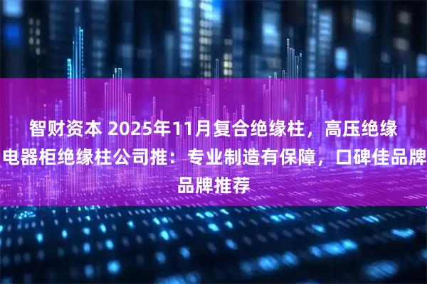 智财资本 2025年11月复合绝缘柱，高压绝缘柱，电器柜绝缘柱公司推：专业制造有保障，口碑佳品牌推荐
