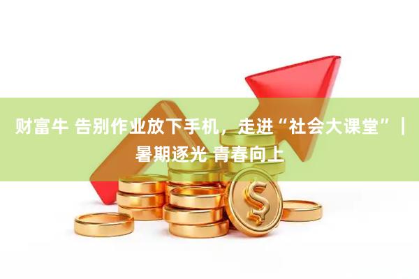 财富牛 告别作业放下手机，走进“社会大课堂”｜暑期逐光 青春向上